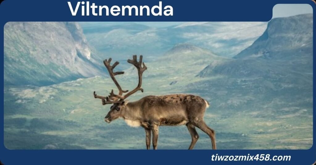 Viltnemnda